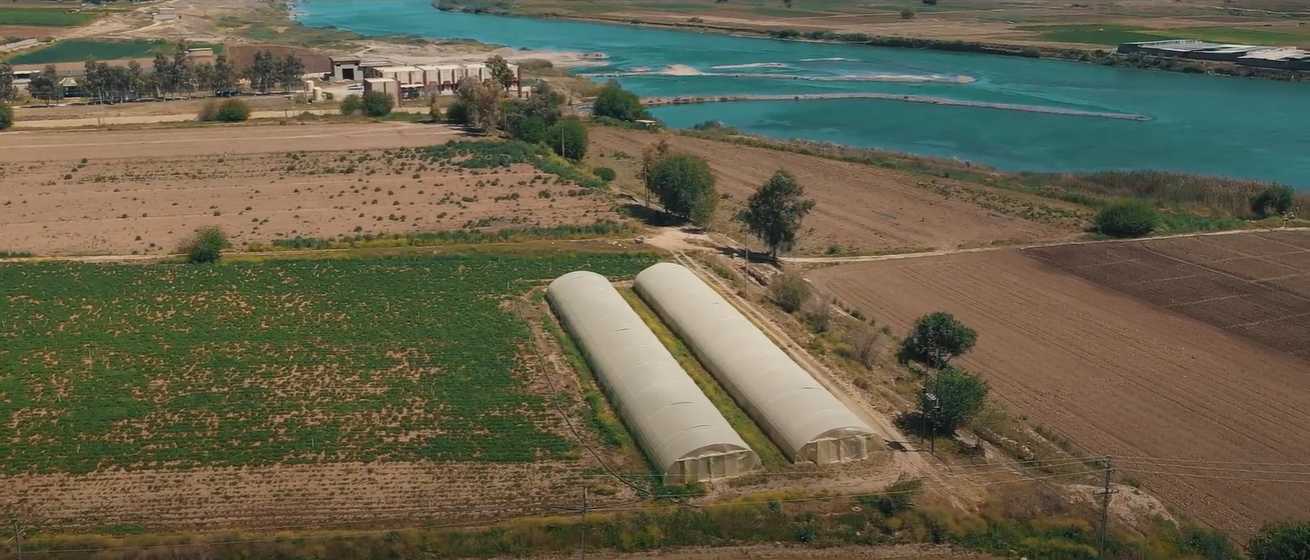 Green Houses in Ninewa